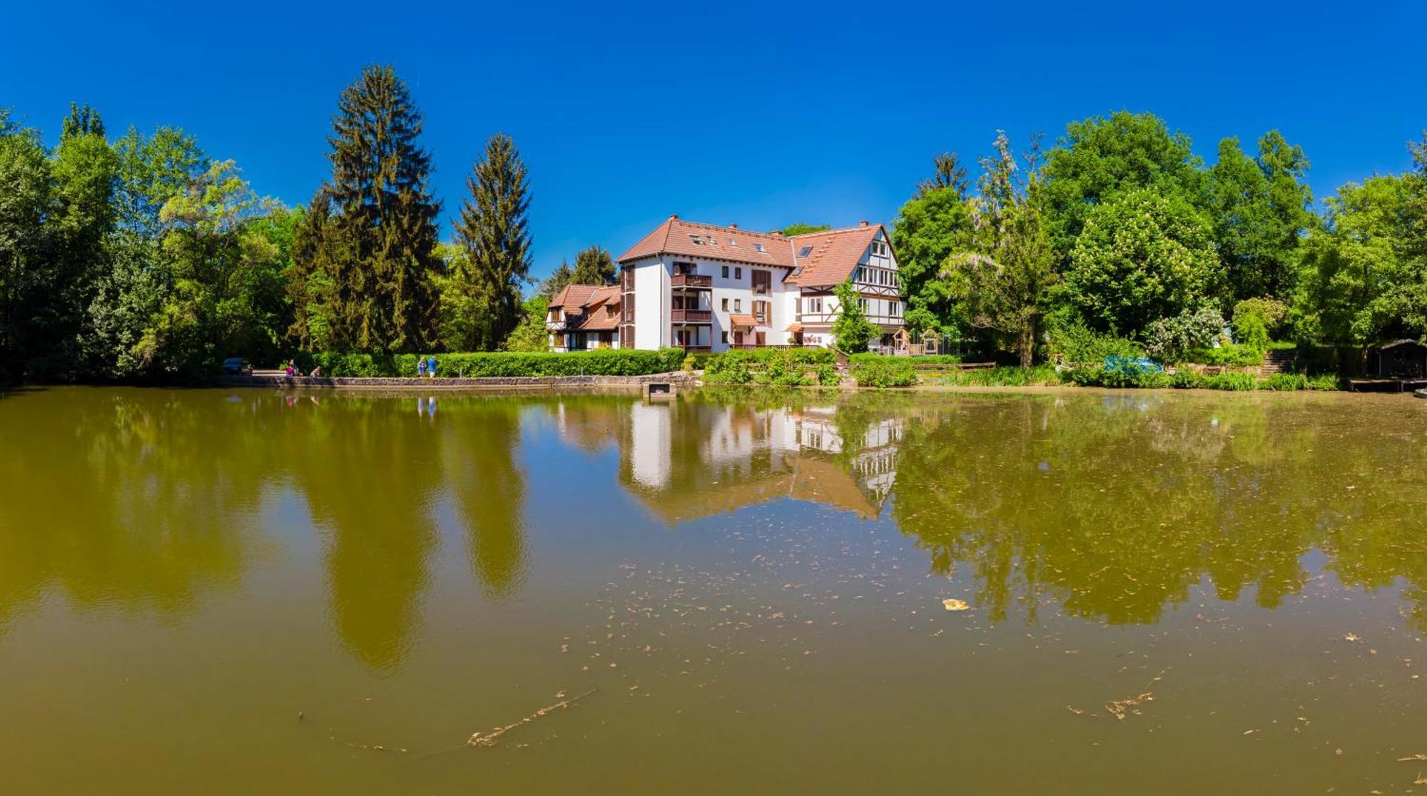 Einliegerwohnung In Einer Muehle Vor Den Toren Frankfurts, Ideal Fuer Messegaeste Oder Stop Over Dreieich Bagian luar foto