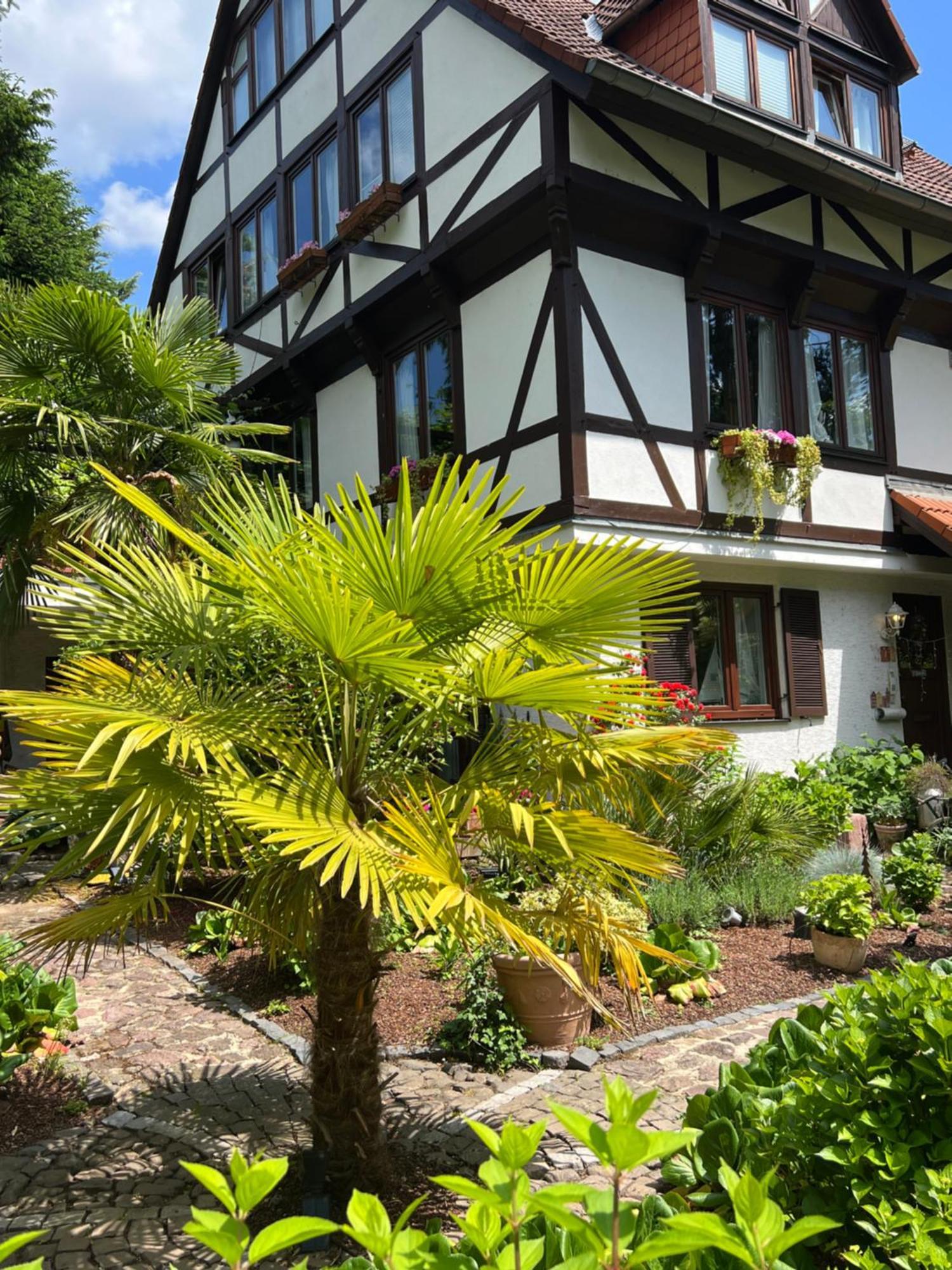 Einliegerwohnung In Einer Muehle Vor Den Toren Frankfurts, Ideal Fuer Messegaeste Oder Stop Over Dreieich Bagian luar foto